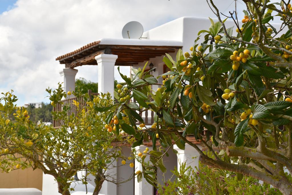 Can Gat Sant Carles de Peralta Exterior photo